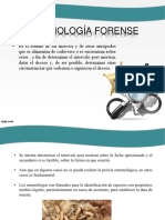 Entomologia PDF