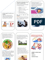 Triptico Modulo 4 PDF