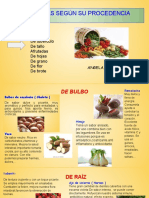 Hortalizas Segun Su Procedencia