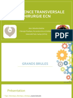 Grands Brûlés ECN