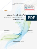 Memoire Nawress PDF