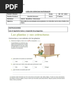 Guía Sobre Las Plantas 3 Básico