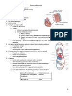 Sistema Cardiovascular Obs