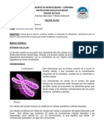 Taller No 007 Division Celular Mitosis