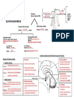 6.1 One Pager Nervous System - MEMO