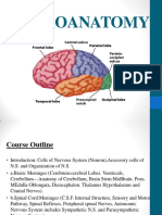 Anatomy Central Nervous System