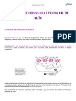 Potencial de Membrana, Potencial de Ação e SN - Monitoria