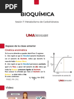 Clase 7. Metabolismo de Carbohidratos PPT UMA LED 2023