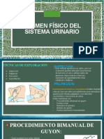 Semiologia Renal