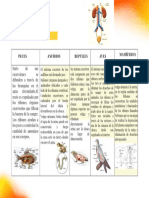 Elegant Yellow White Package Comparison Chart Graph