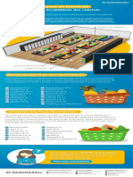 Infografico Layout de Hortifruti