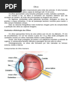 31-05 Ciências - Gisele V. 65 e 66