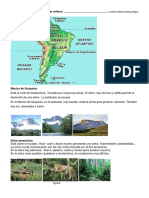 Relieve de Amèrica Del Sur (Resumen) PDF