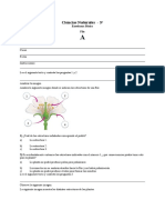 Evaluacion-A-176354 3° Plantas