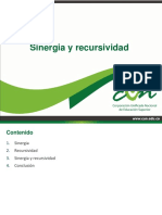 Sinergia y Recursividad