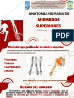 Copia de Miembro Superior PDF