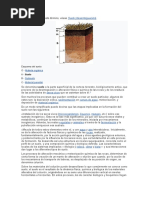 El Suelo