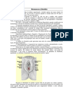 A12 Plantas Utilizadas em Saúde Da Mulher PDF