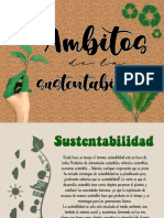 Ambitos de La Sustentabilidad