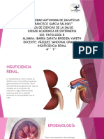 Insuficiencia Renal