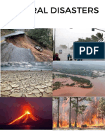 Natural Disasters PDF