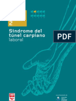 2 (1) - Tunel Carpiano