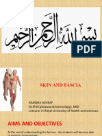 Skin and Fascia Lec 2