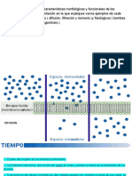 Ejercicio 7 Pag 27