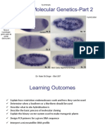 Topic 6-Molecular Genetics-Part 2: Fly Embryos