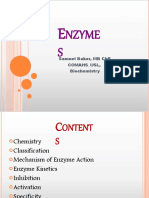 02 Enzymes