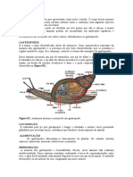 Apostila Moluscos e Artropodes