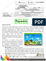 C2 - A3 - Reporte Ciclos Biogeoquimicos