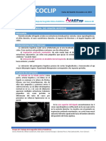 Ecoclip09 Abdominal III Region Hepatica PDF