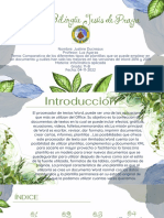 Informática Aplicada Justine PDF