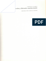 Derechos y Libertades Constitucionales Néstor Osuna Patiño