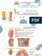 Fisiología Renal