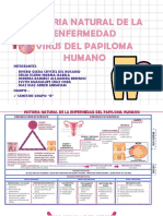 Hne Del Papiloma Humano. Equipo 7..