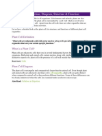 Plant Cells PDF