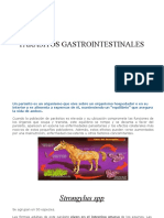 Parasitos Gastrointestinales