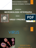 Virus Generalidades y Replicación PDF