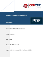 Tarea 3.1 Manual de Puestos - TRABAJADA