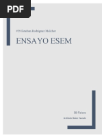 ENSAYO ESEM 3er Parcial