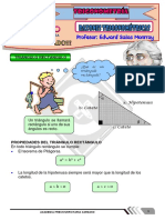 Ficha N°7-Razones Trigonometricas