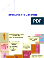 Genomics-Lectures 1 To 8 - 2023 PDF