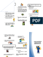 Triptico (Sismos e Incendio)