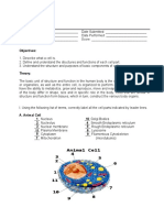 Exercise No. 1 The Cells