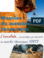 Muscles Membre Thoracique 2022-23 PDF