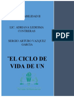 Ciclo de Vida de Un Activo