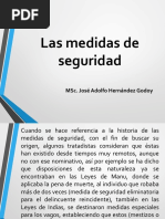 5las Medidas de Seguridad 13