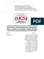 Proyecto Comunitario 1 Año PDF